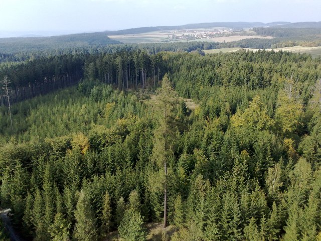 img00013.jpg