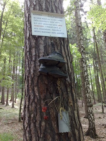 img00020.jpg