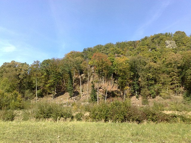 img00031.jpg