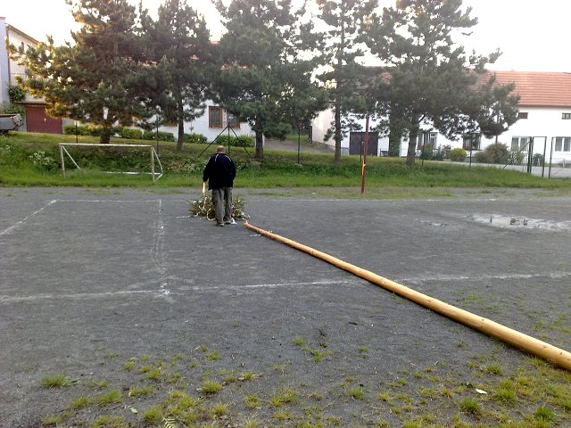 img00008.jpg