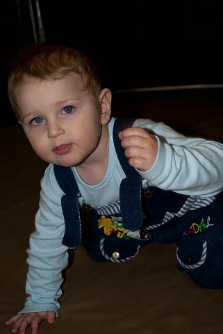 img00115.jpg