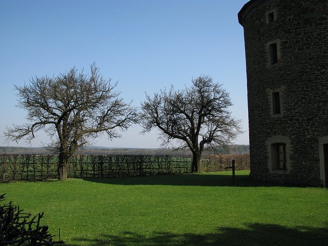 img00003.jpg