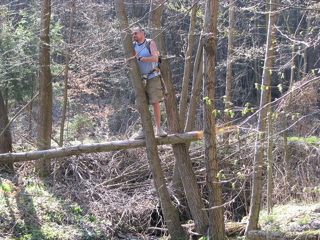 img00016.jpg