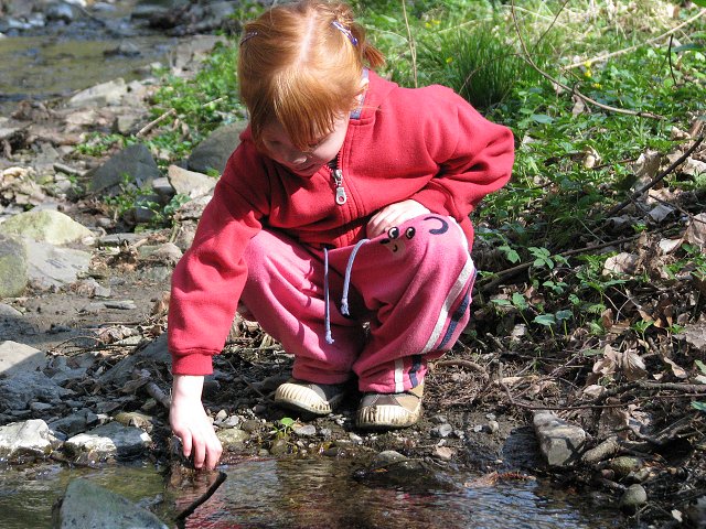 img00017.jpg