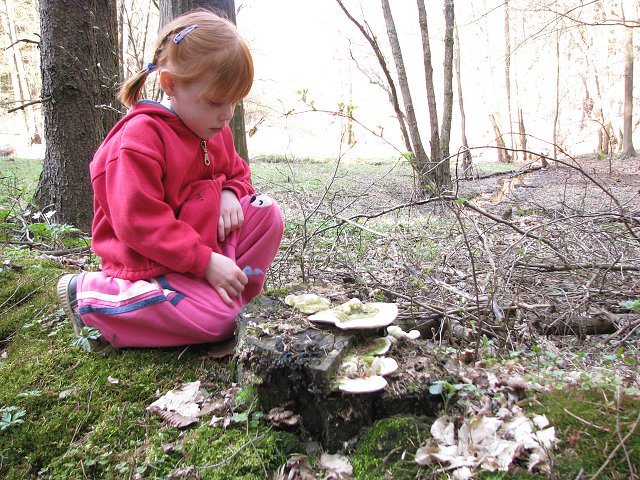 img00020.jpg