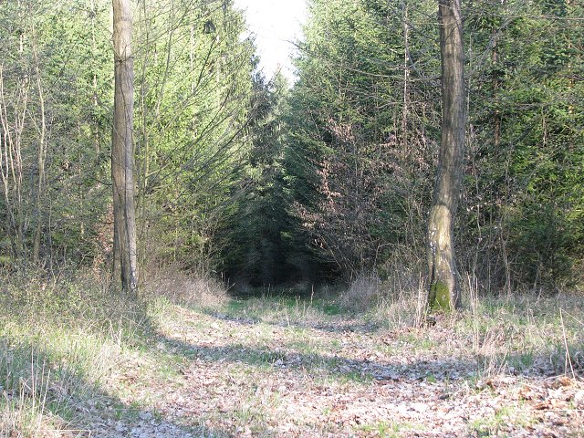 img00025.jpg