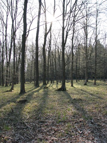 img00026.jpg