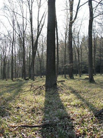 img00027.jpg