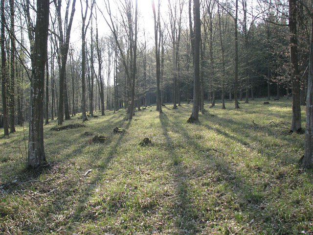 img00028.jpg