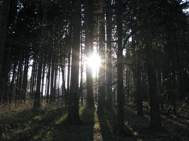 img00029.jpg