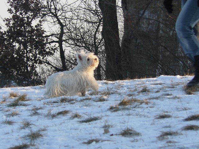 img00021.jpg