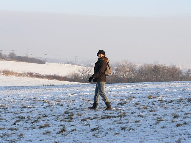img00022.jpg