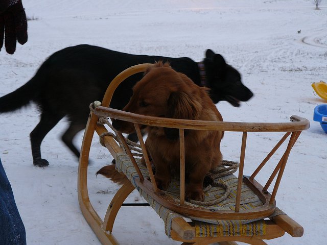 img00096.jpg