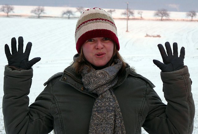 img00105.jpg