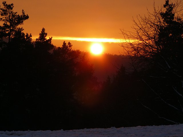 img00107.jpg