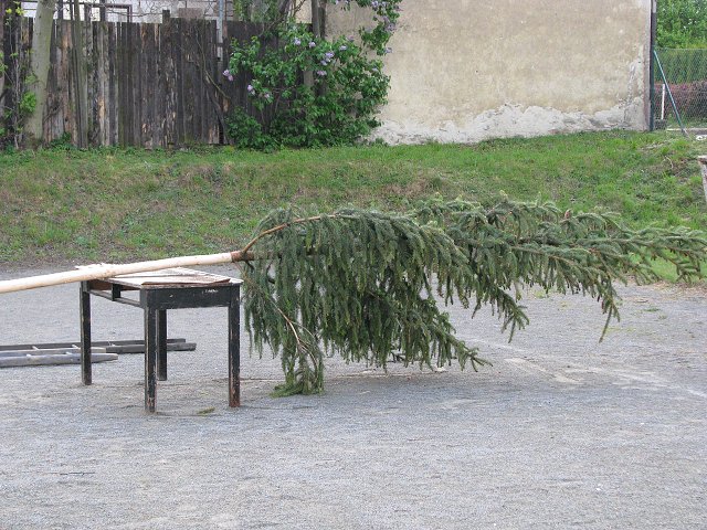 img00001.jpg
