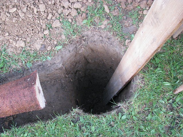 img00005.jpg