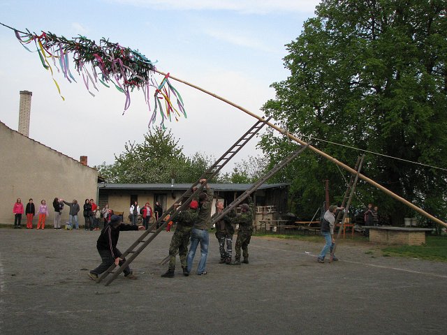 img00019.jpg