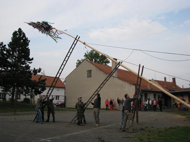 img00020.jpg