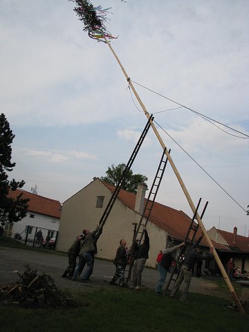 img00022.jpg