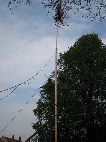 img00025.jpg
