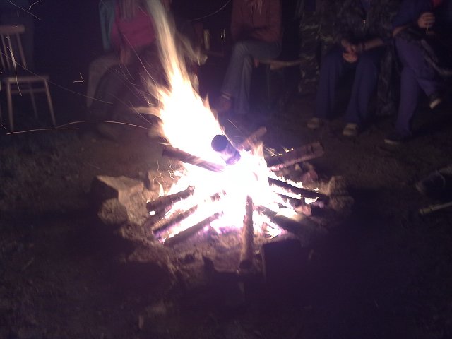 img00041.jpg