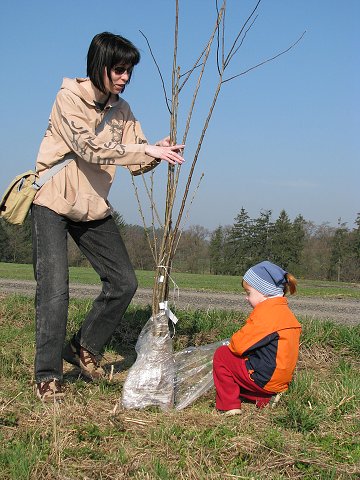 img00003.jpg