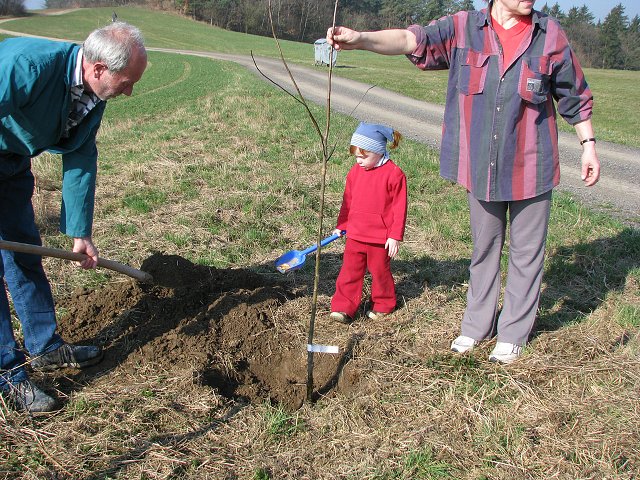 img00004.jpg