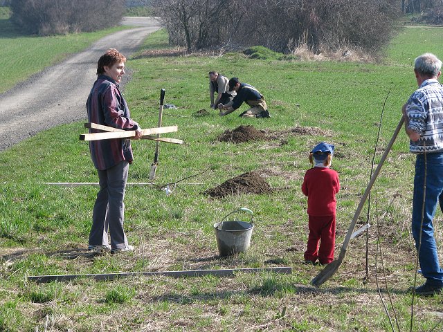 img00007.jpg