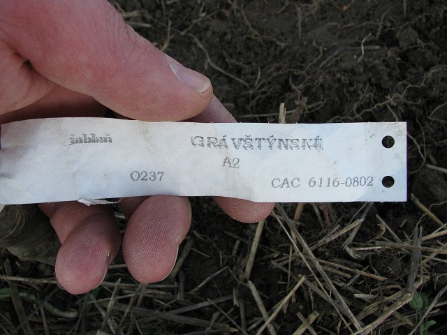 img00009.jpg