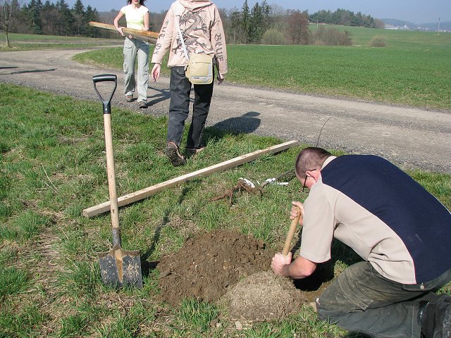 img00012.jpg