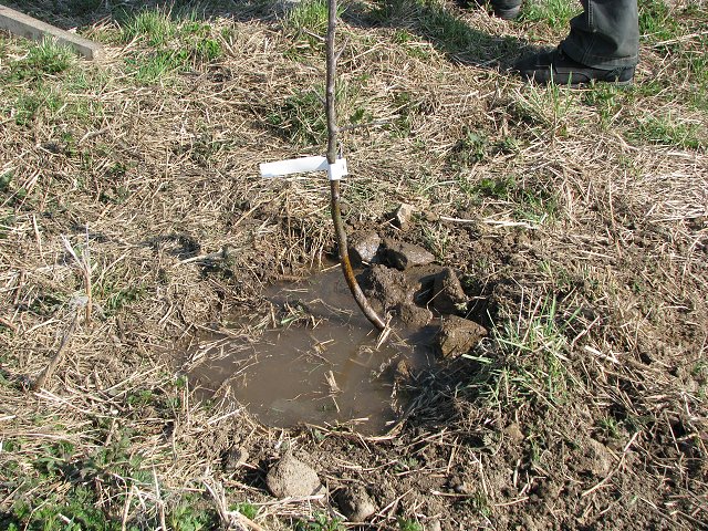 img00014.jpg
