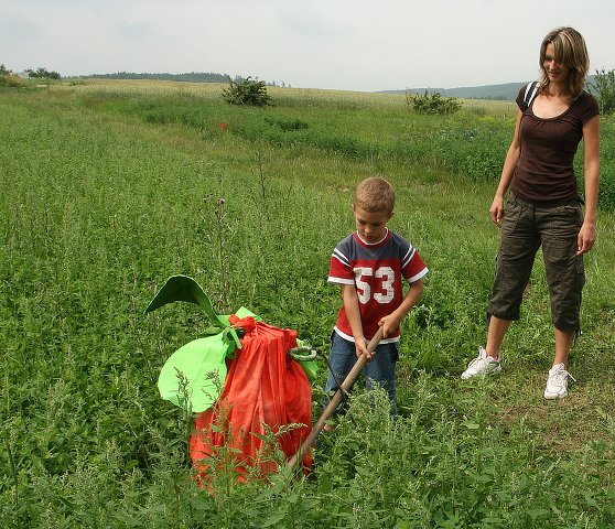 img00026.jpg