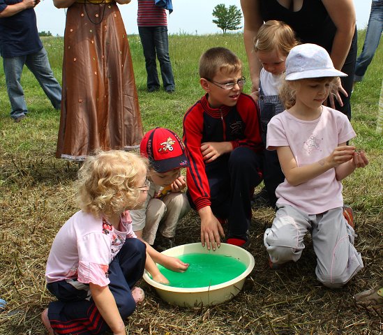img00054.jpg