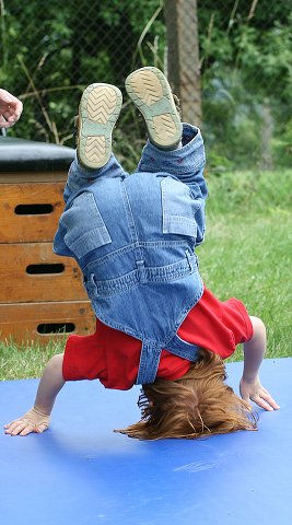 img00138.jpg