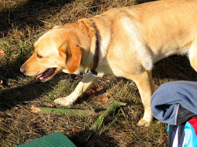 img00005.jpg