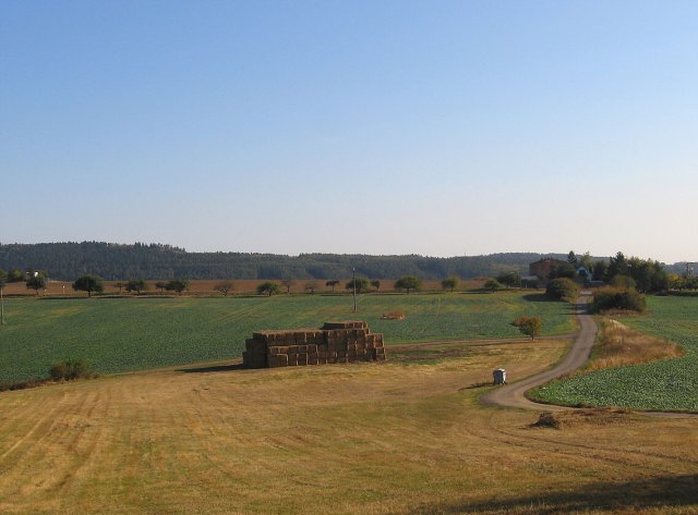 img00008.jpg