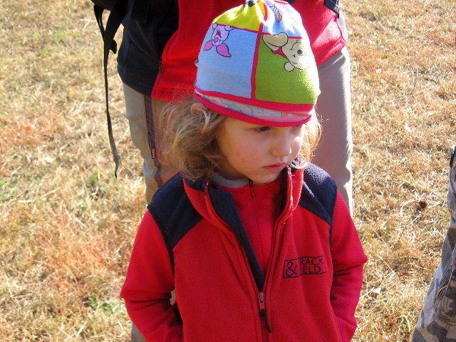 img00011.jpg