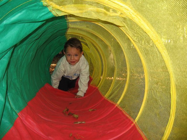img00017.jpg