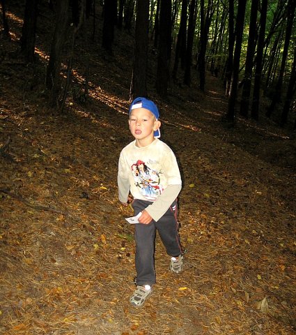 img00020.jpg