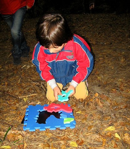 img00022.jpg