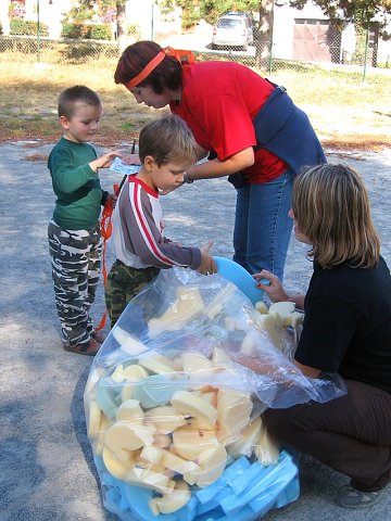 img00037.jpg