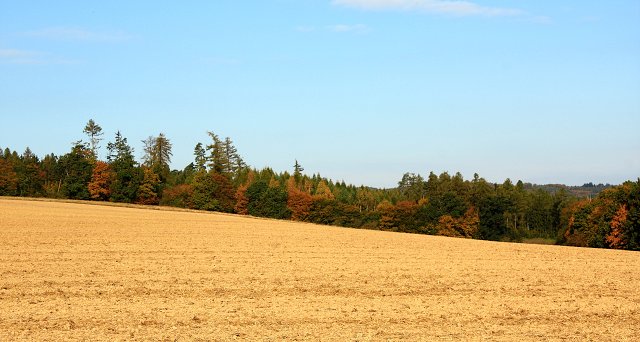 img00030.jpg