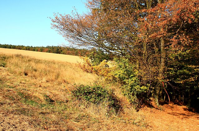 img00032.jpg