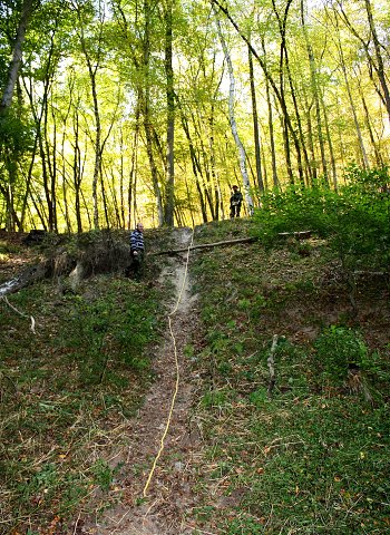 img00044.jpg