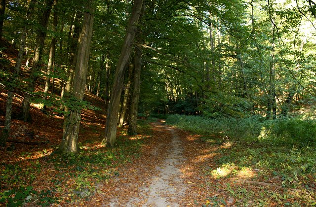 img00046.jpg