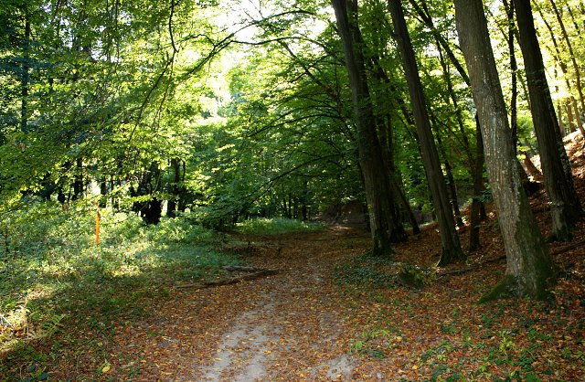 img00047.jpg