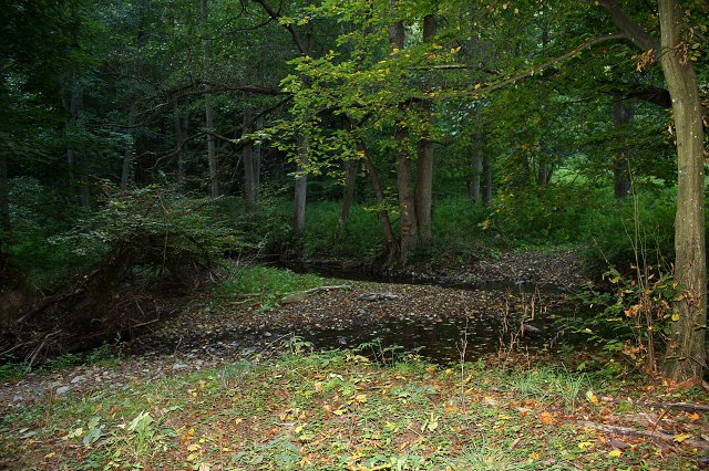 img00057.jpg