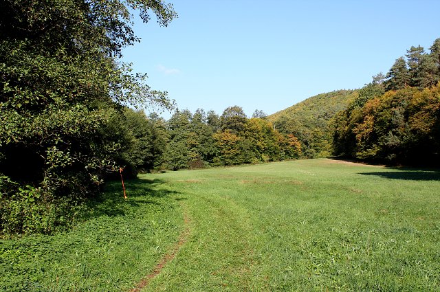 img00058.jpg