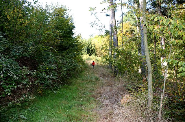 img00070.jpg